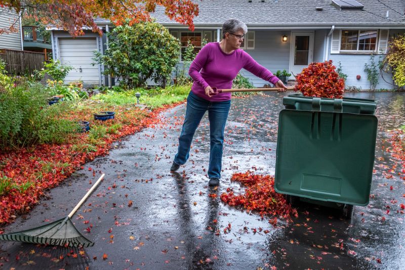 Leaf Disposal Solutions