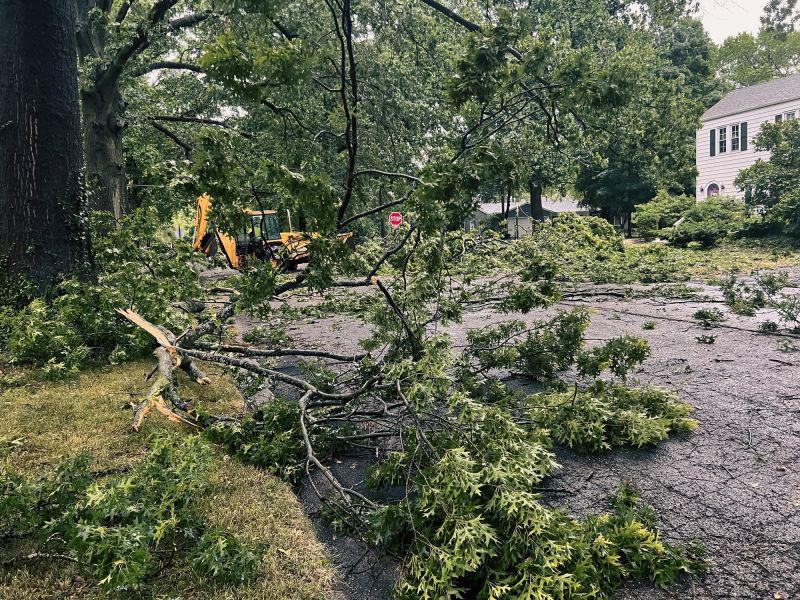 Clearing a Storm-Damaged Tree