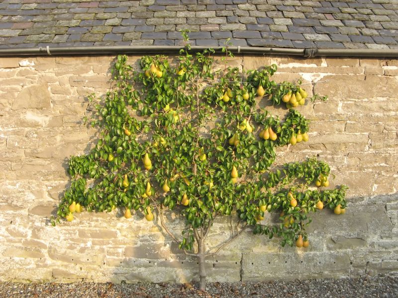 Budget-Smart Upgrades