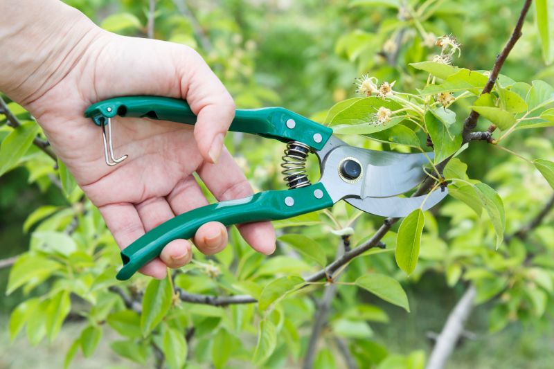 Tools Maintenance for Pruning