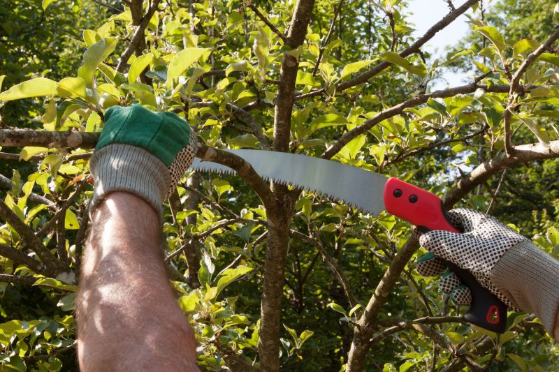 Products For Pear Trees Prunings in use